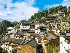 开云体育官网-包含徽州山猫队火力全开姑苏雄鲨队，羽毛球半决赛上演耐力碾压对手！争冠格局再洗牌的词条